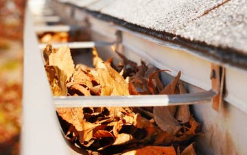Legar gutter cleaning companies