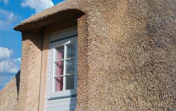Legar thatch roof disadvantages